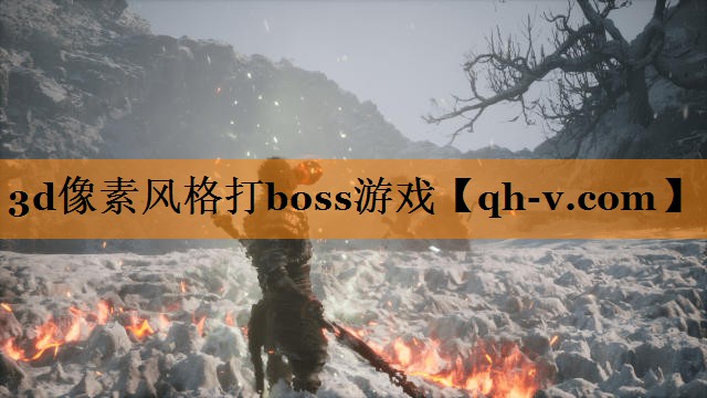 3d像素风格打boss游戏