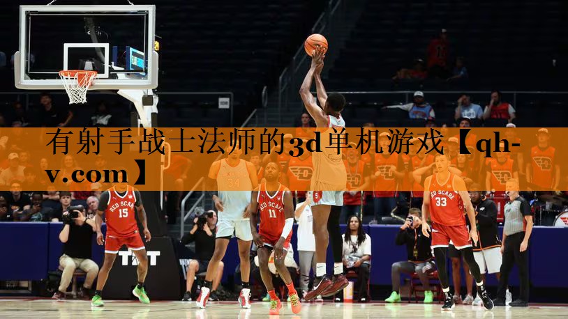 有射手战士法师的3d单机游戏