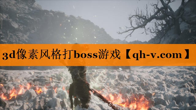 3d像素风格打boss游戏