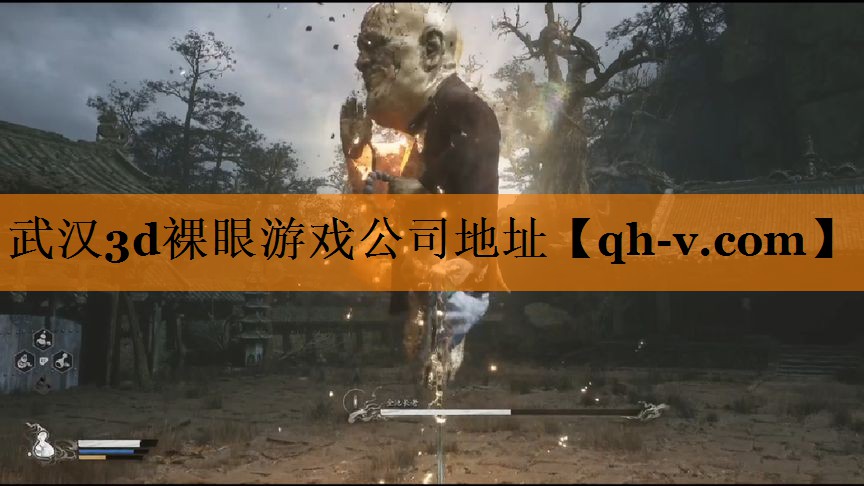 武汉3d裸眼游戏公司地址