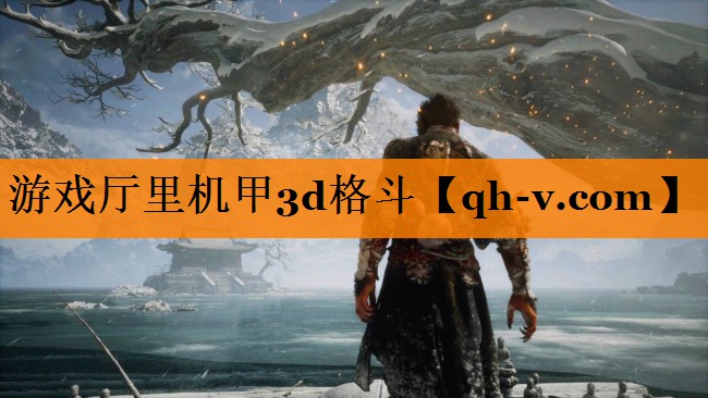 游戏厅里机甲3d格斗
